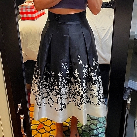 WHBM Fullly lined Skirt w/tulle - Picture 1 of 9